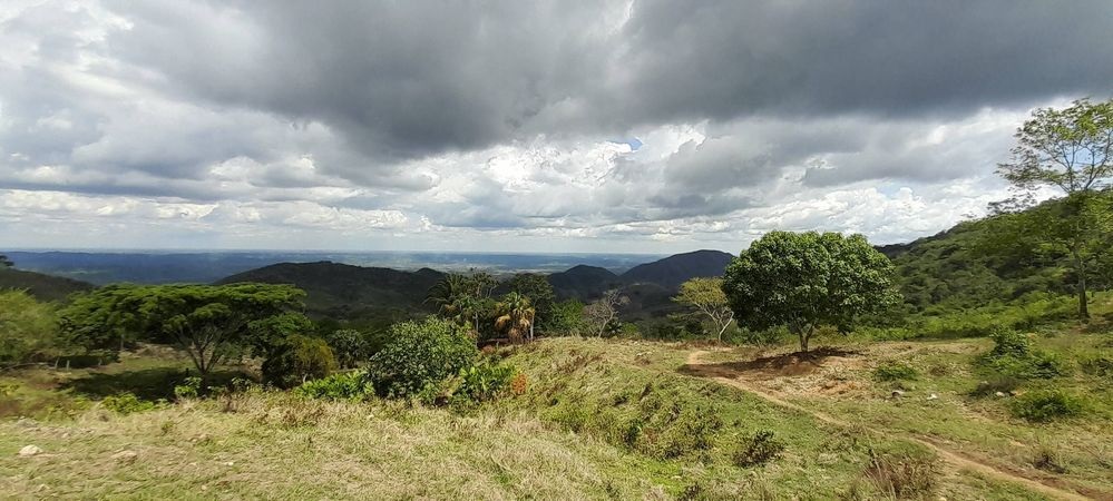 COMPREHENSIVE FOOD SECURITY PROJECT WITH THE CONTRIBUTION OF INDIGENOUS FARMER FIELD SCHOOLS: THE PALMITO CASE, SUCRE, COLOMBIA.