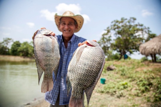 SOCIO-ENVIRONMENTAL IMPACT OF THE CONSTRUCTION OF A MINI DAM IN THE ZENÚ INDIGENOUS COMMUNITY OF COTORRA: CONSEQUENCES ON FOOD SECURITY AND BIODIVERSITY OF THE SINÚ RIVER