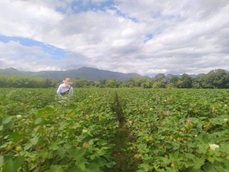 BLOOMING MIND PROGRAM: NATIVE ORNAMENTAL HORTICULTURE FOR EDUCATIONAL AND SOCIAL TRANSFORMATION