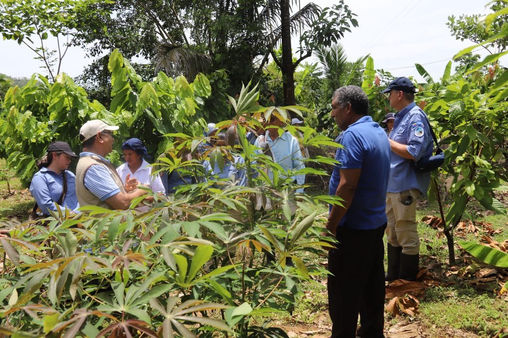 ADAPTIVE ECOLOGICAL RESTORATION IN DISTRIBUTION AREAS OF MESOCLEMMYS DAHLI